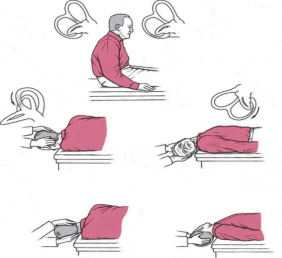 脑病科 特色优势诊疗技术870.png